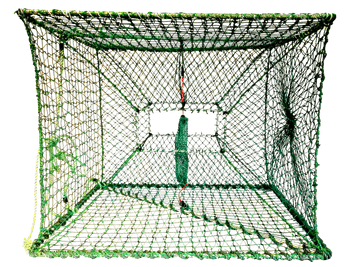 Image of Kongekrabbeteine